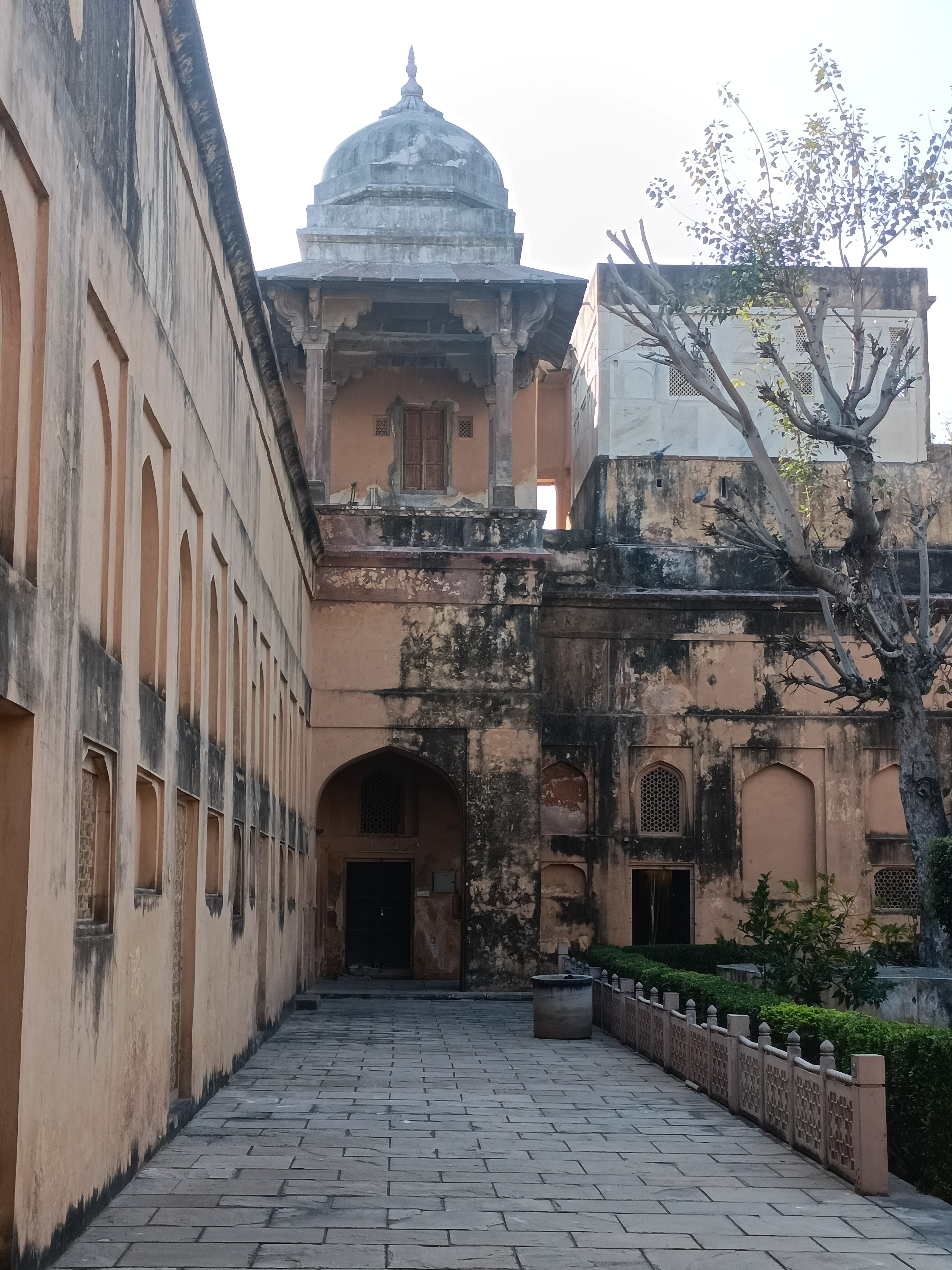best places to see in ajmer, state government museum